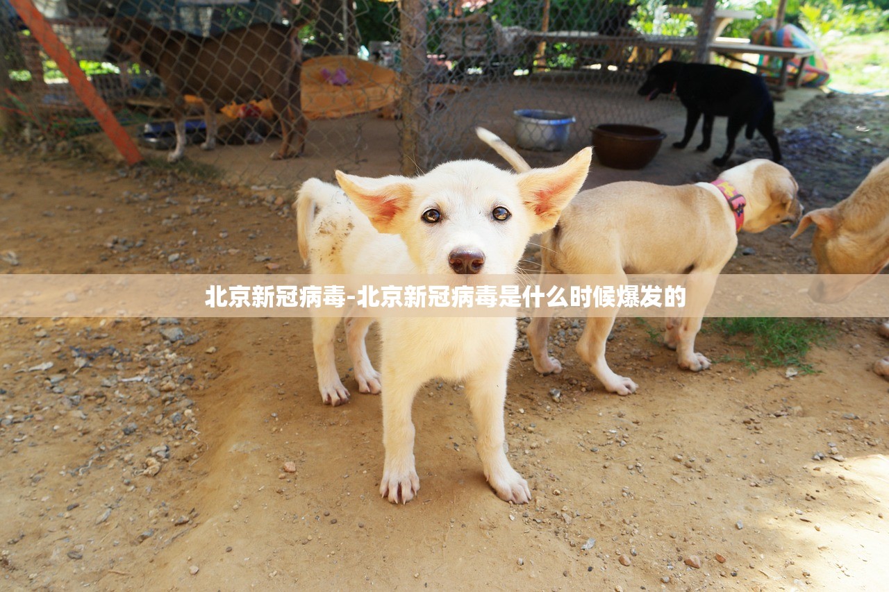 北京新冠病毒-北京新冠病毒是什么时候爆发的 北京新冠病毒-北京新冠病毒是什么时候爆发的