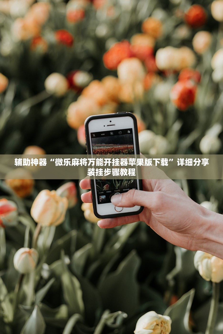 辅助神器“微乐麻将万能开挂器苹果版下载”详细分享装挂步骤教程