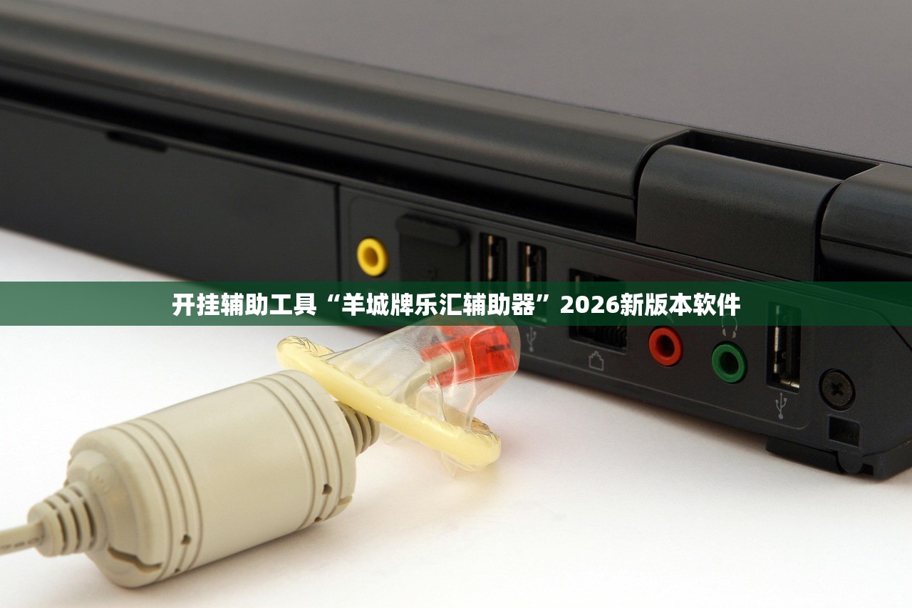 开挂辅助工具“羊城牌乐汇辅助器	”2026新版本软件