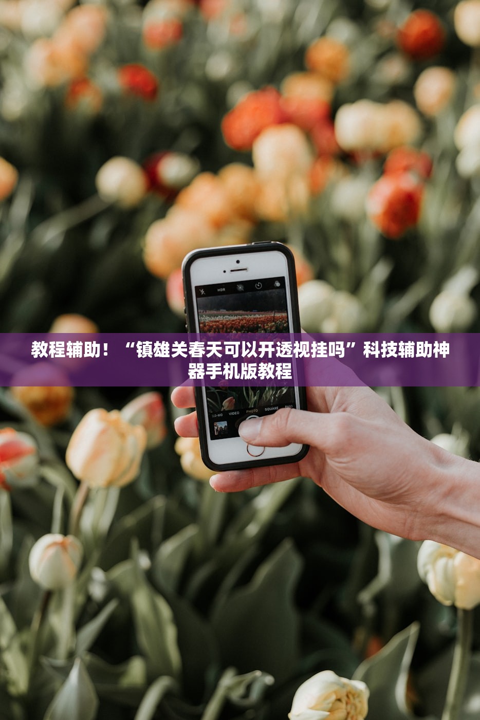 “云南新增本土确诊8例” 云南新增本土确诊病 例12例？