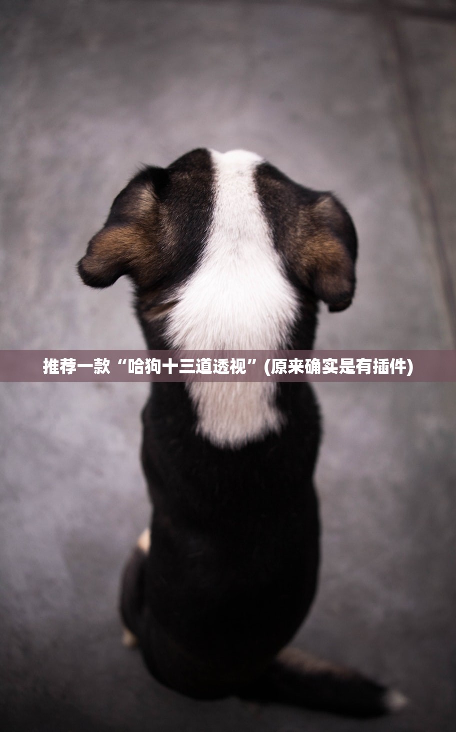 软件分享“新猴王透视挂下载”附开挂脚本详细教程-知乎