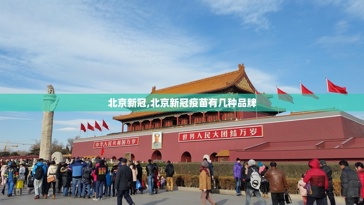 玩家必搜“优乐app有挂吗”通用版下载教程！