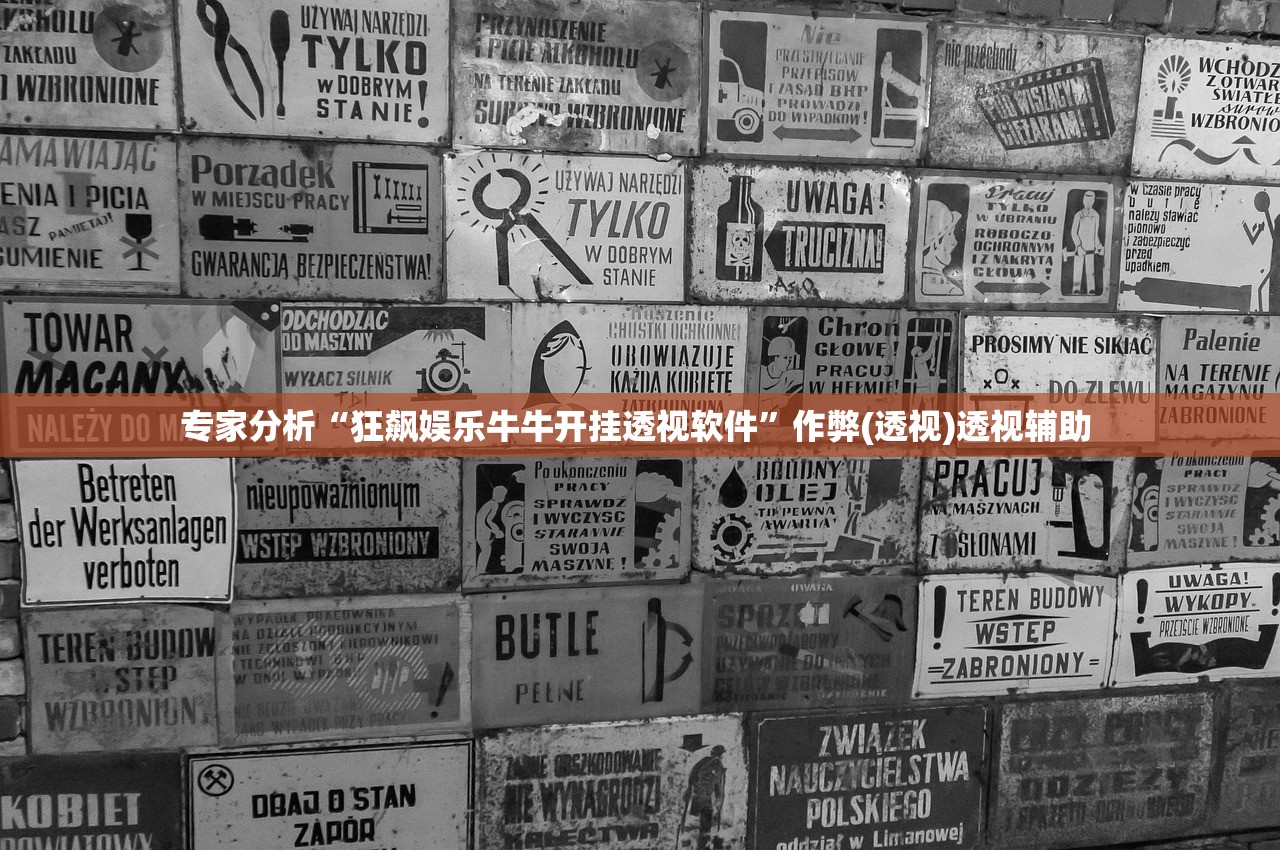 专家分析“狂飙娱乐牛牛开挂透视软件”作弊(透视)透视辅助 
