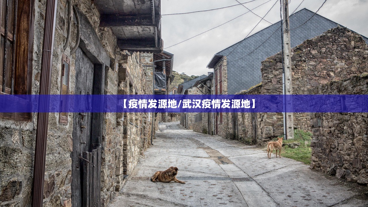 【疫情发源地/武汉疫情发源地】
