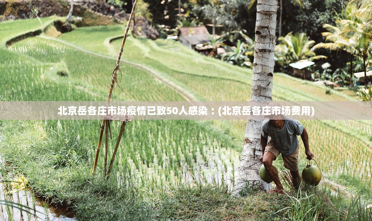 可用版本“九酷副厅怎样才能赢”开挂辅助详细步骤