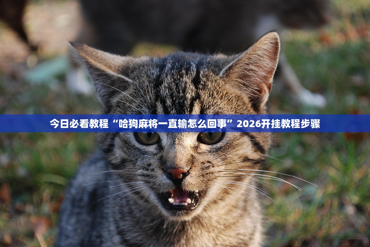 今日必看教程“哈狗麻将一直输怎么回事”2026开挂教程步骤