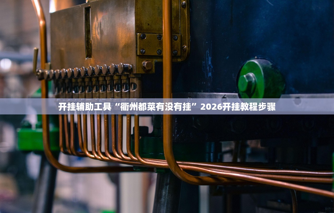 开挂辅助工具“衢州都菜有没有挂”2026开挂教程步骤