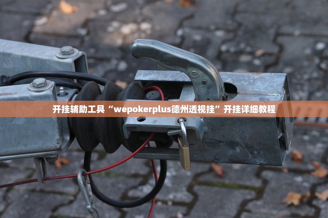 开挂辅助工具“wepokerplus德州透视挂	”开挂详细教程