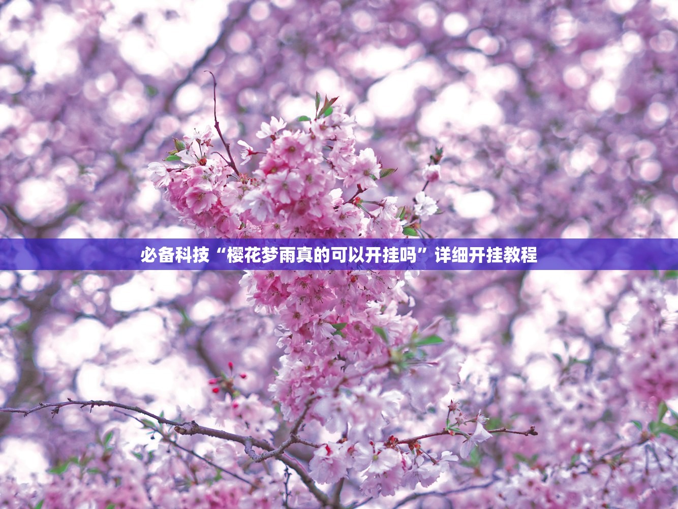 必备科技“樱花梦雨真的可以开挂吗”详细开挂教程