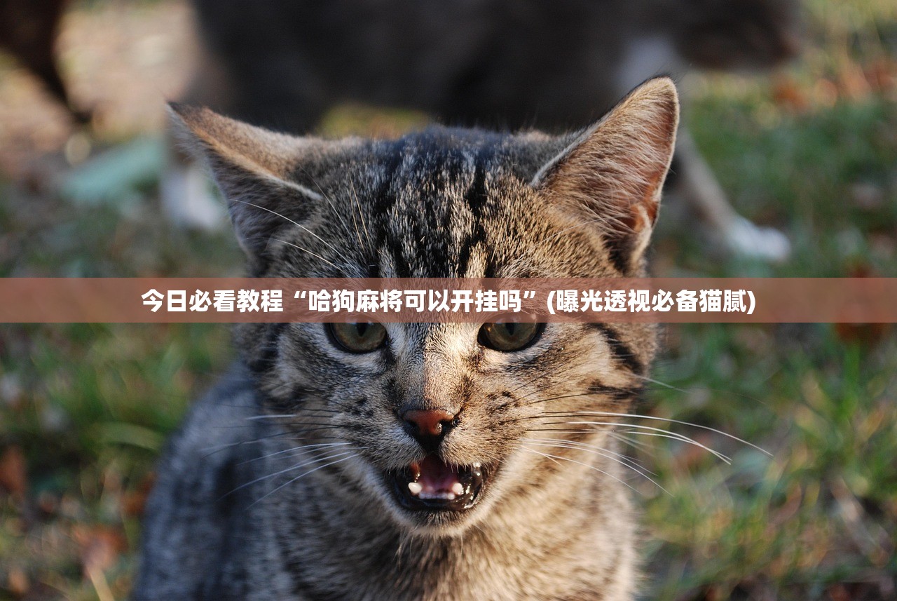 今日实测“天津麻将究竟有没有挂”附开挂脚本详细教程-知乎