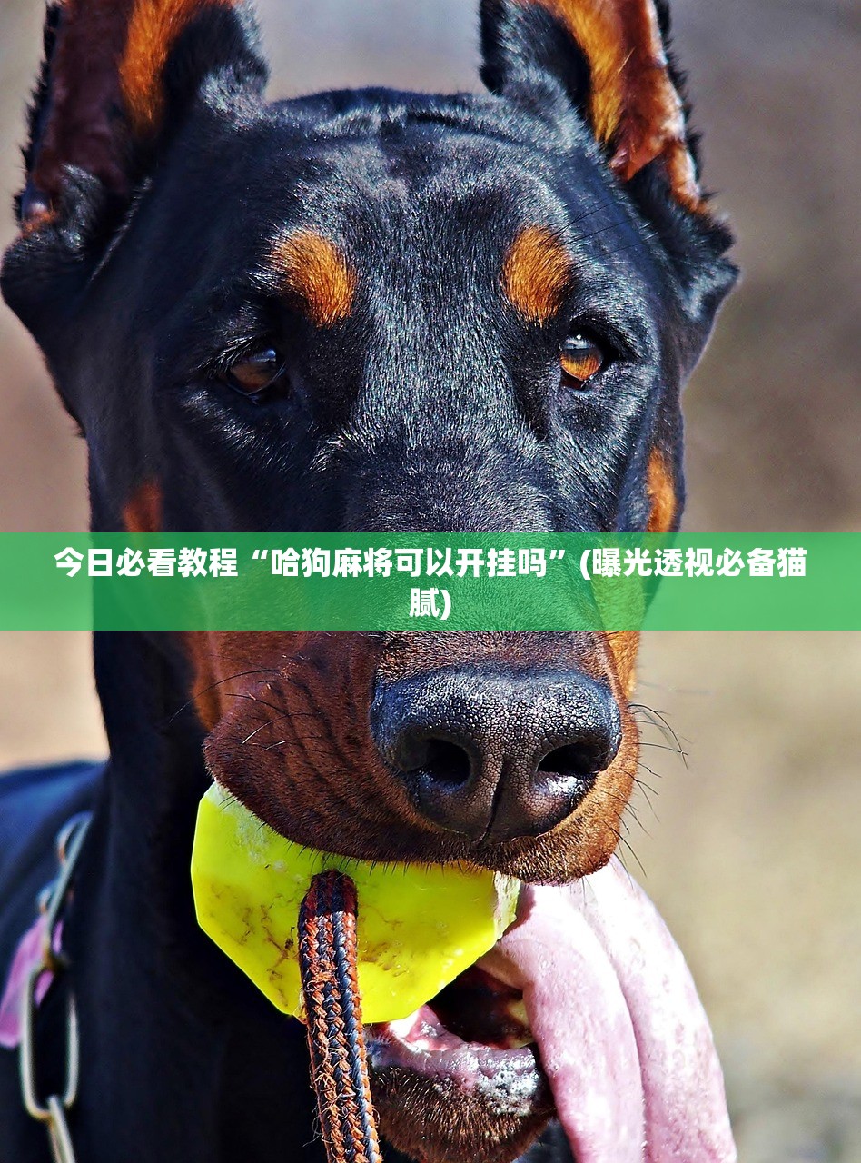 教程辅助！“人皇大厅牛牛怎么提高好牌几率	”开挂(透视)辅助神器