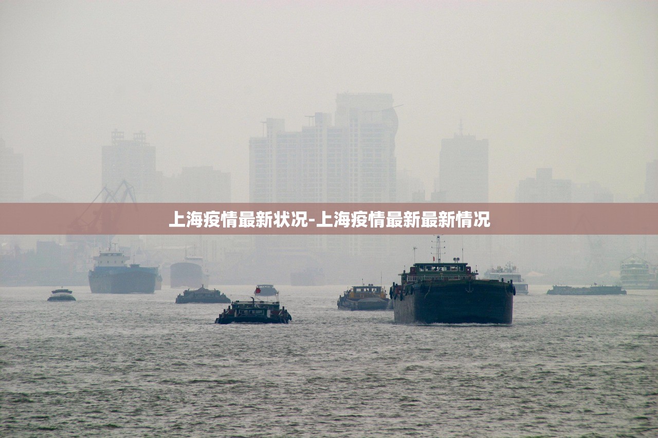 上海疫情最新状况-上海疫情最新最新情况 上海疫情最新状况-上海疫情最新最新情况