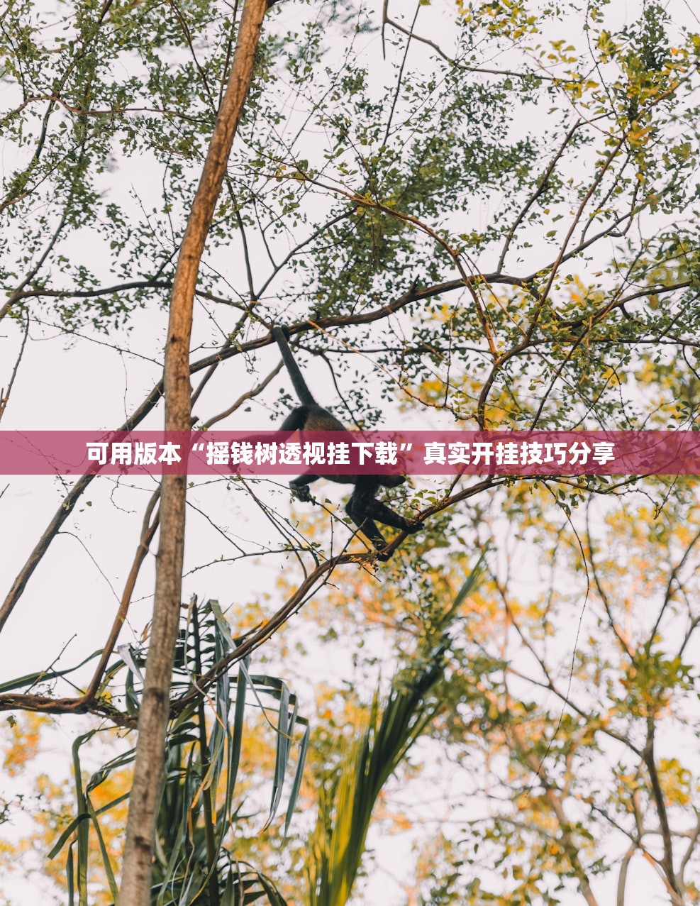 教程解析“新久久透视挂辅助器下载”作弊(透视)透视辅助 