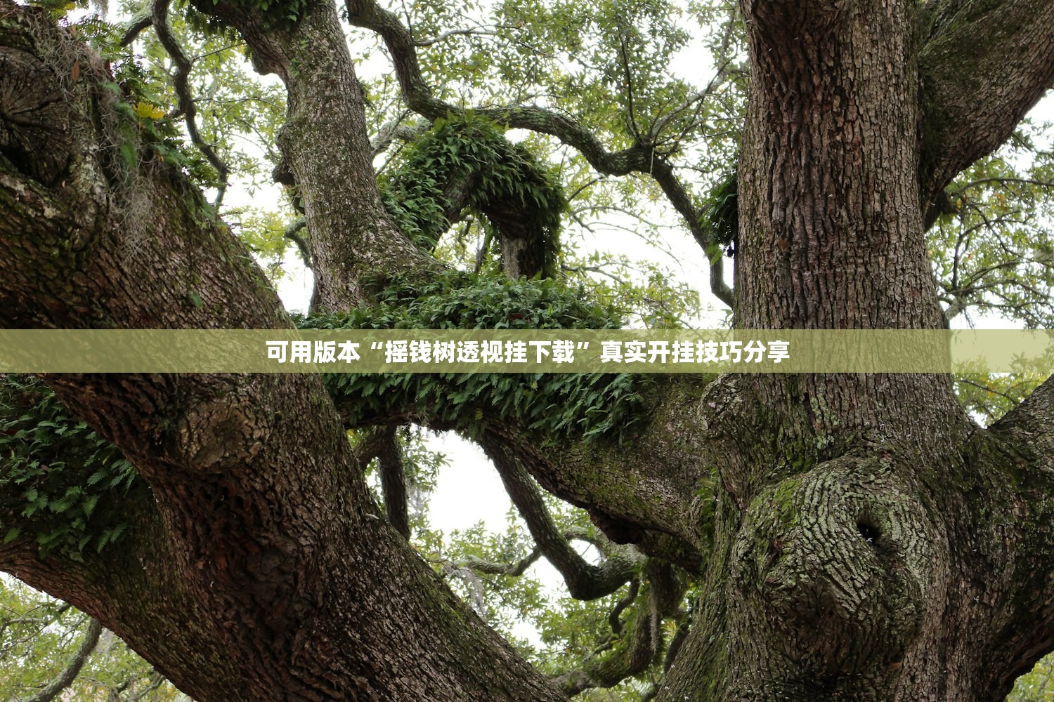 北京西城一人初筛阳性〃北京西城1例确诊病例