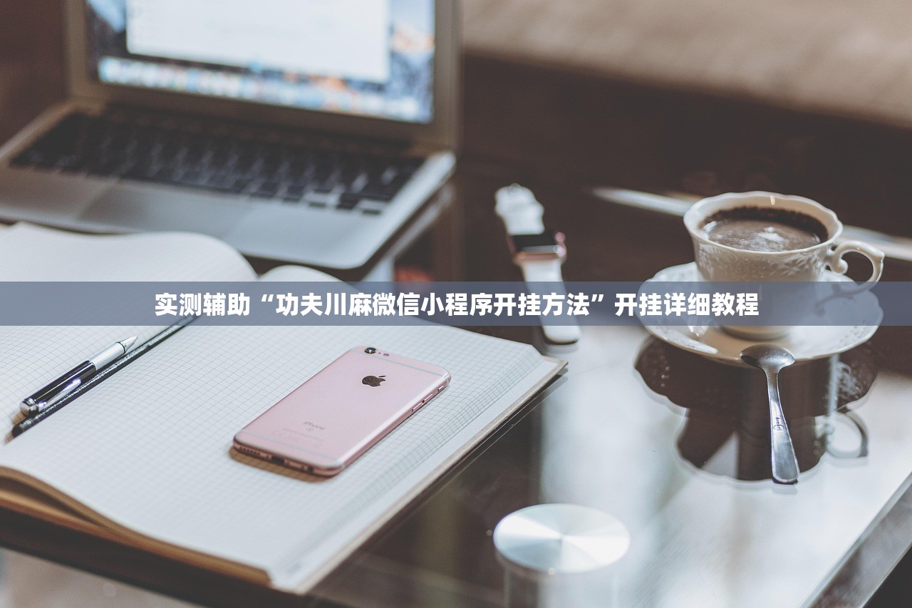 实测辅助“功夫川麻微信小程序开挂方法”开挂详细教程