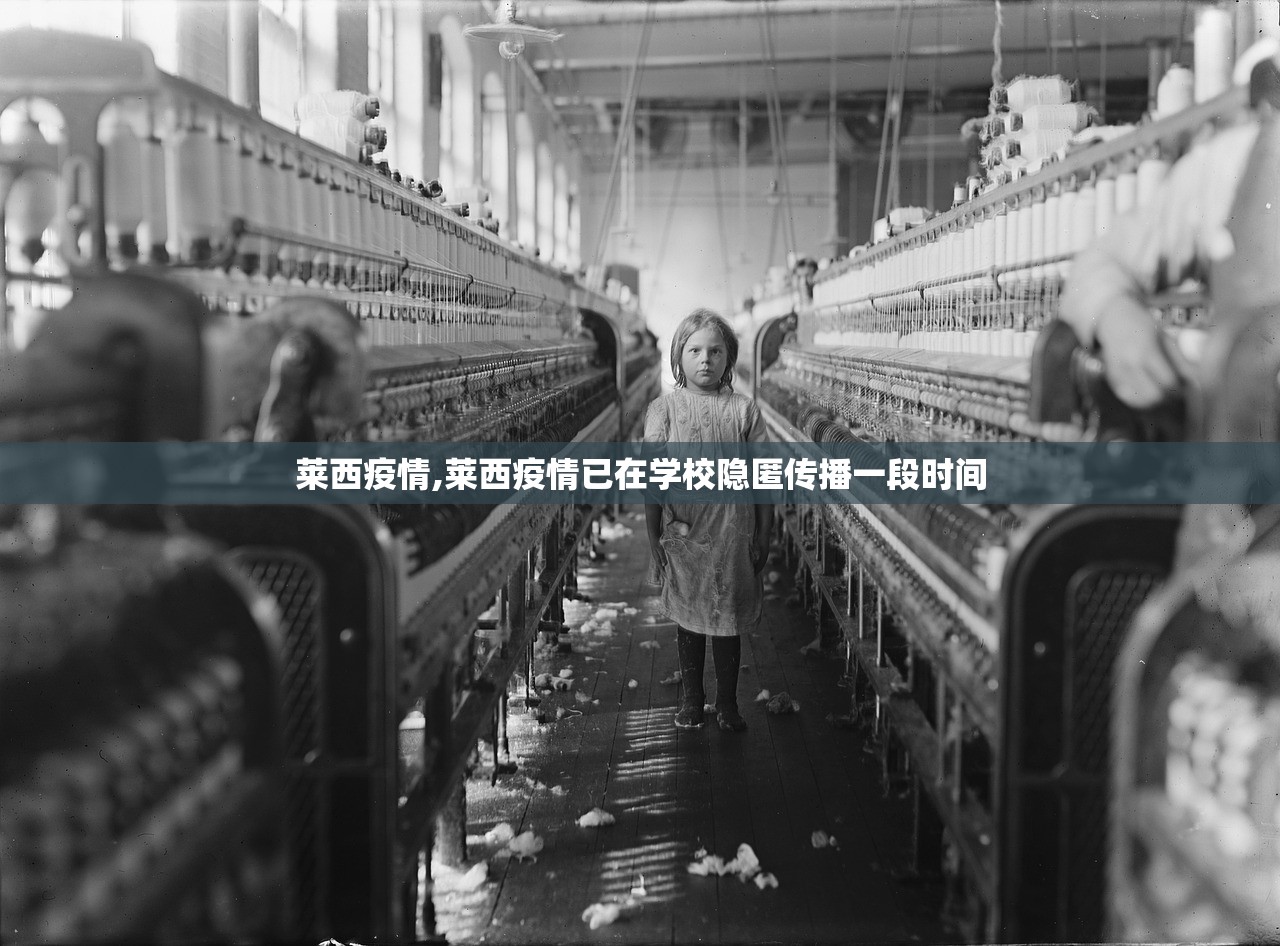 推荐一款“星禾卡五星的确可以开挂	”开挂详细教程
