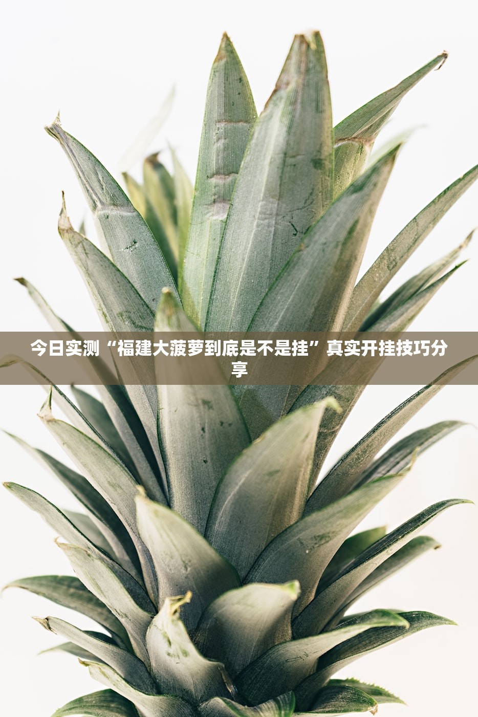 必学教你安装“精品乐清麻将究竟有挂吗”揭秘透视辅助万能挂用法