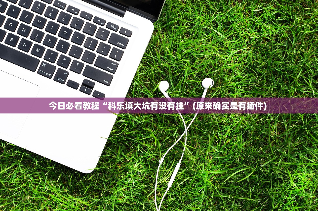 今日必看教程“科乐填大坑有没有挂”(原来确实是有插件) 