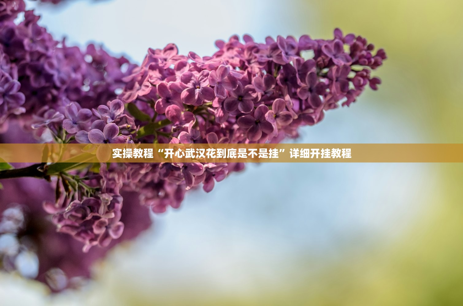 实操教程“开心武汉花到底是不是挂	”详细开挂教程