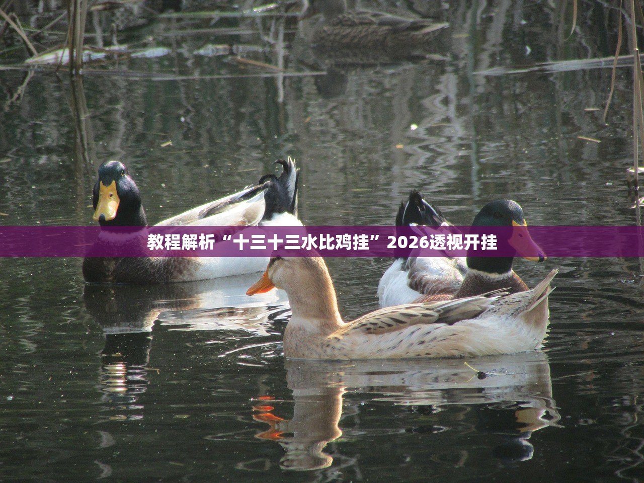 推荐一款“手机麻将开挂软件下载安装”详细分享装挂步骤教程
