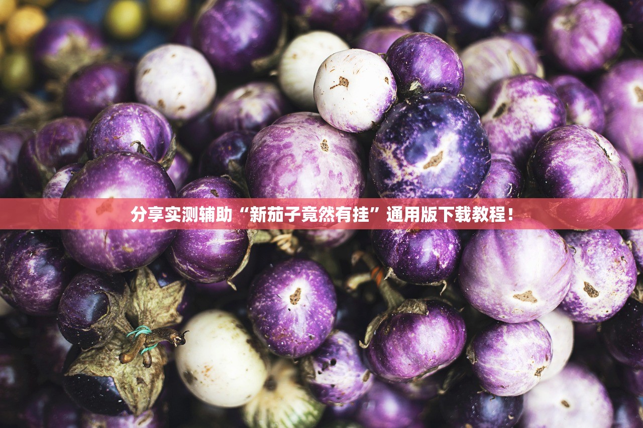 分享实测辅助“新茄子竟然有挂	”通用版下载教程！
