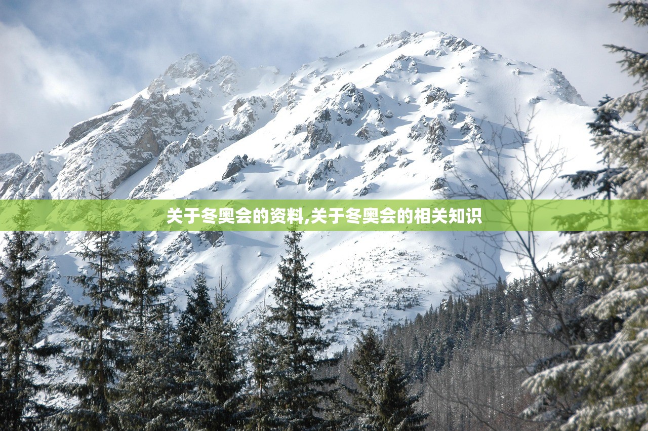关于冬奥会的资料,关于冬奥会的相关知识