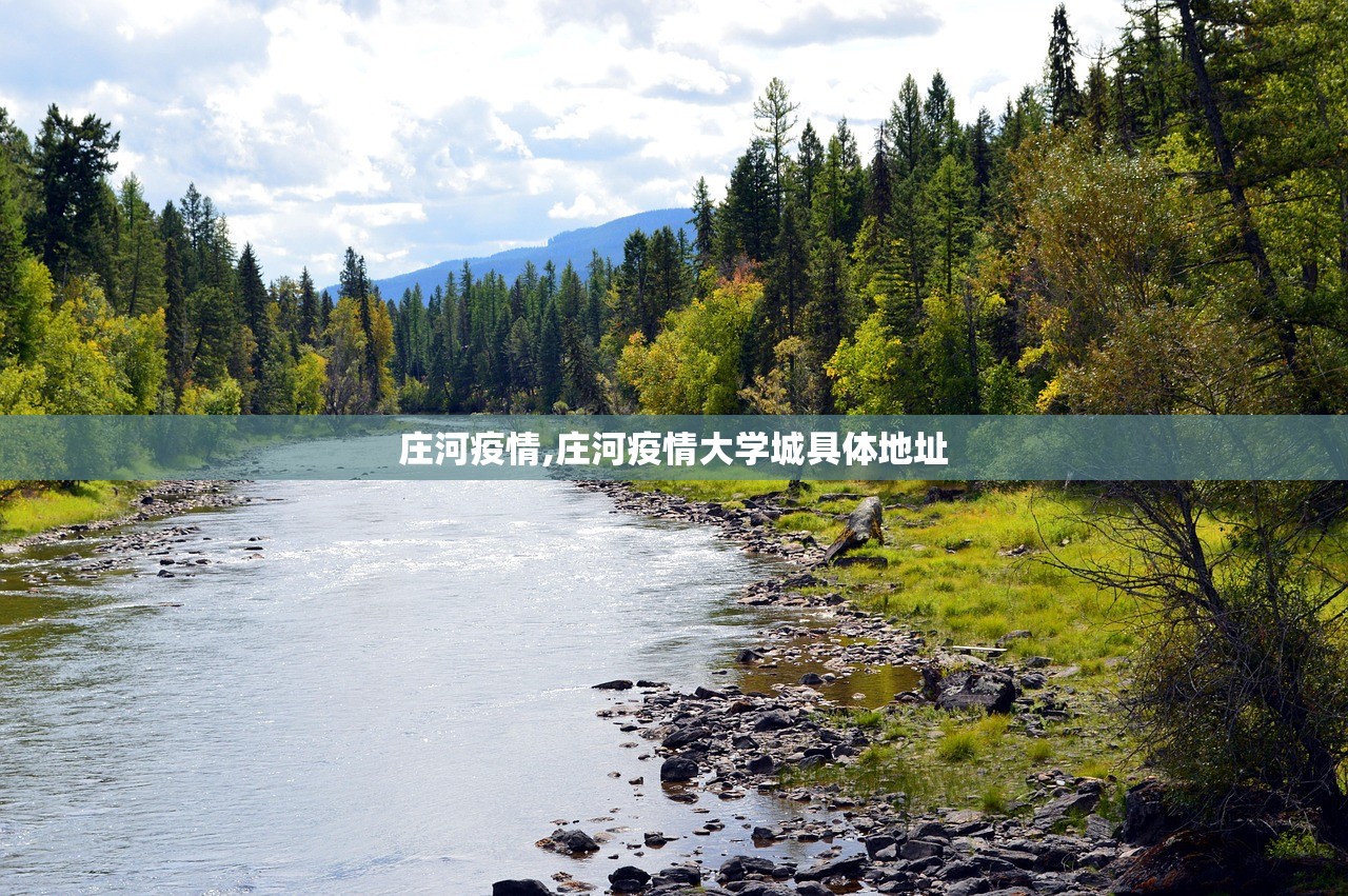 庄河疫情,庄河疫情大学城具体地址 庄河疫情,庄河疫情大学城具体地址