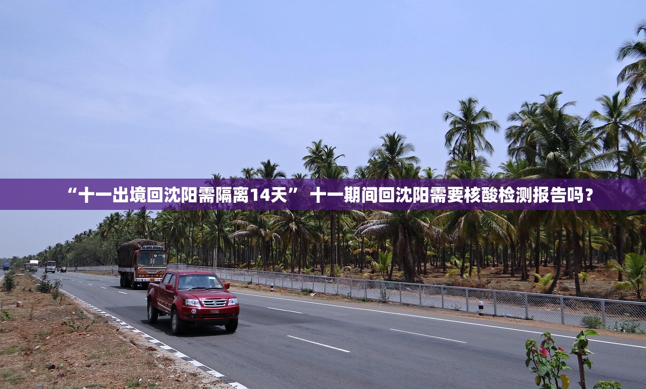 “十一出境回沈阳需隔离14天” 十一期间回沈阳需要核酸检测报告吗？