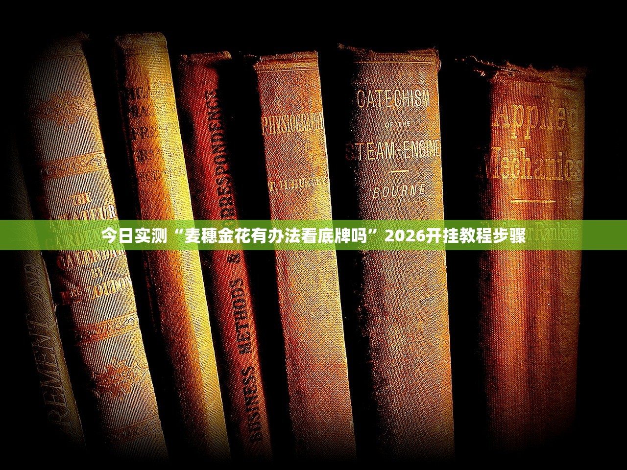 今日实测“麦穗金花有办法看底牌吗”2026开挂教程步骤