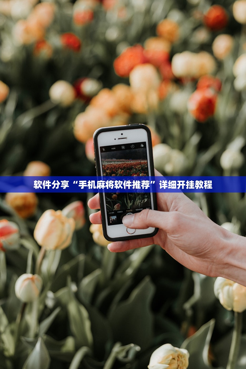 软件分享“手机麻将软件推荐	”详细开挂教程