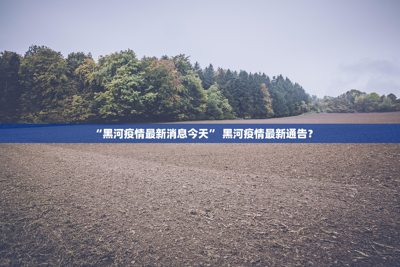 “黑河疫情最新消息今天” 黑河疫情最新通告？
