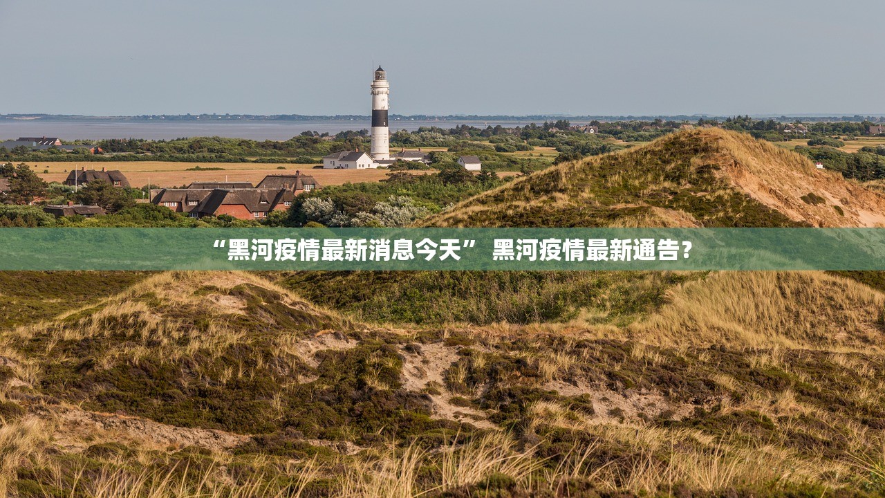 “黑河疫情最新消息今天” 黑河疫情最新通告？