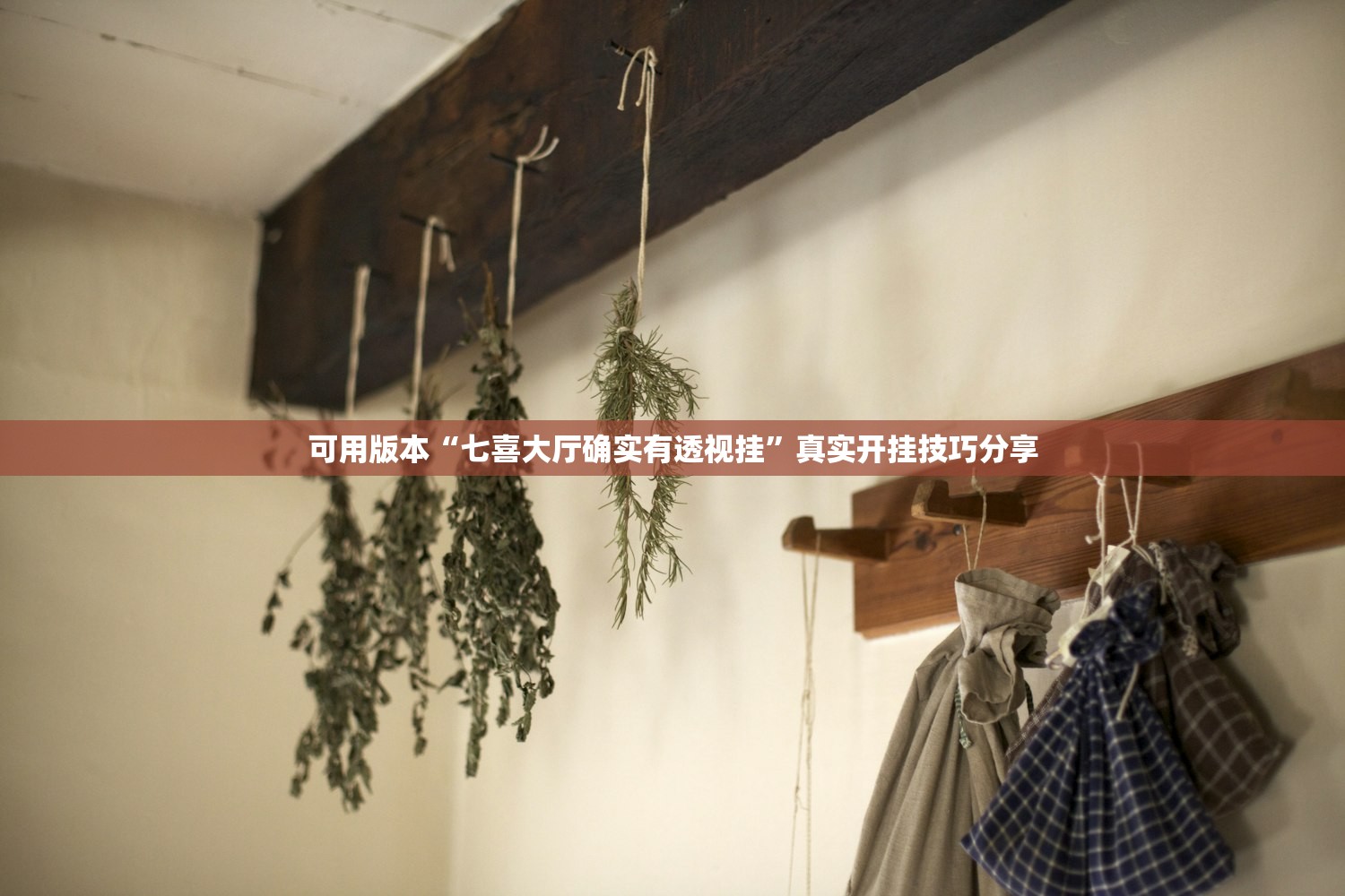 可用版本“七喜大厅确实有透视挂”真实开挂技巧分享