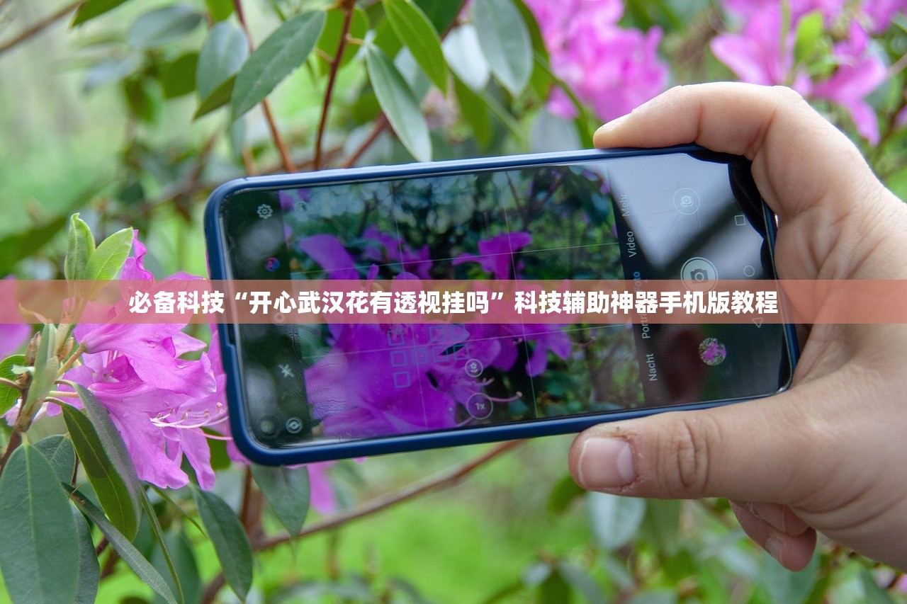 必备科技“开心武汉花有透视挂吗”科技辅助神器手机版教程