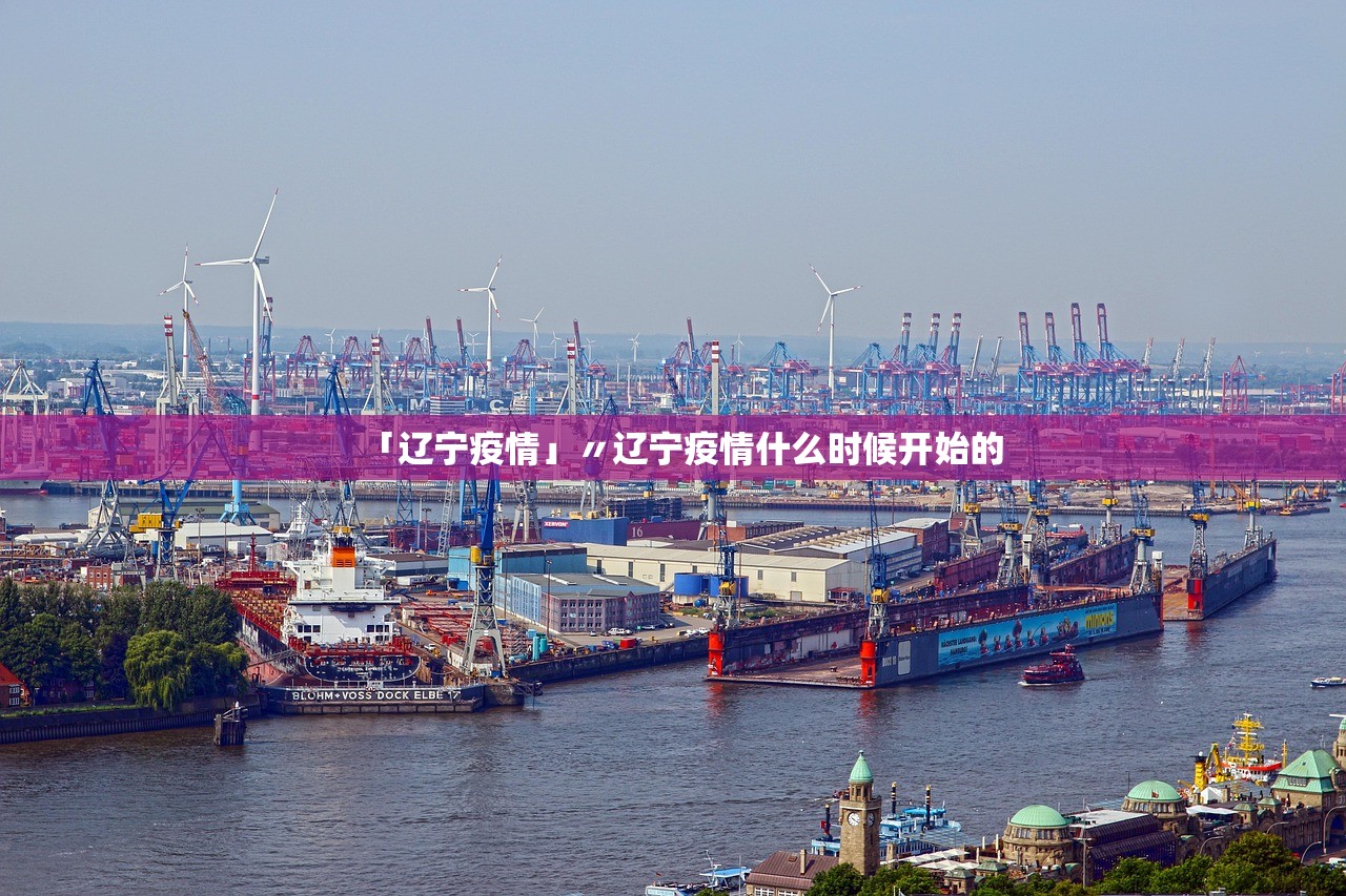 “全国新增7例境外输入确诊	” 全国新增4例境外输入 视频？