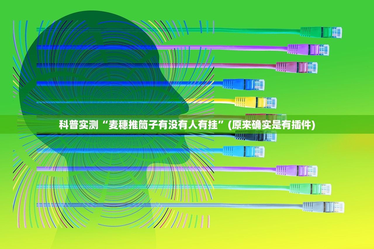 科普实测“麦穗推筒子有没有人有挂”(原来确实是有插件)