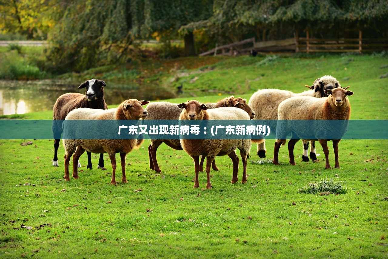开挂辅助工具“南通快胡麻将究竟有挂吗”通用版下载教程！