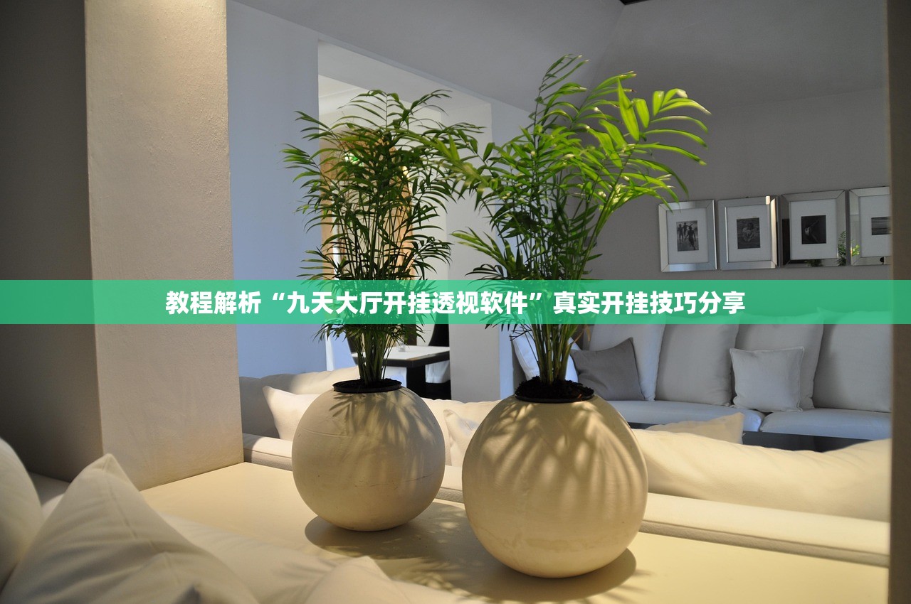 教程解析“九天大厅开挂透视软件”真实开挂技巧分享
