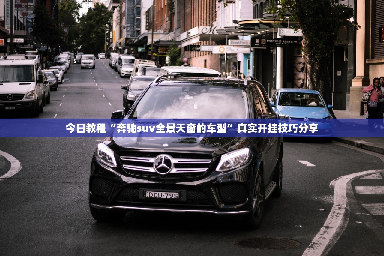 今日教程“奔驰suv全景天窗的车型”真实开挂技巧分享