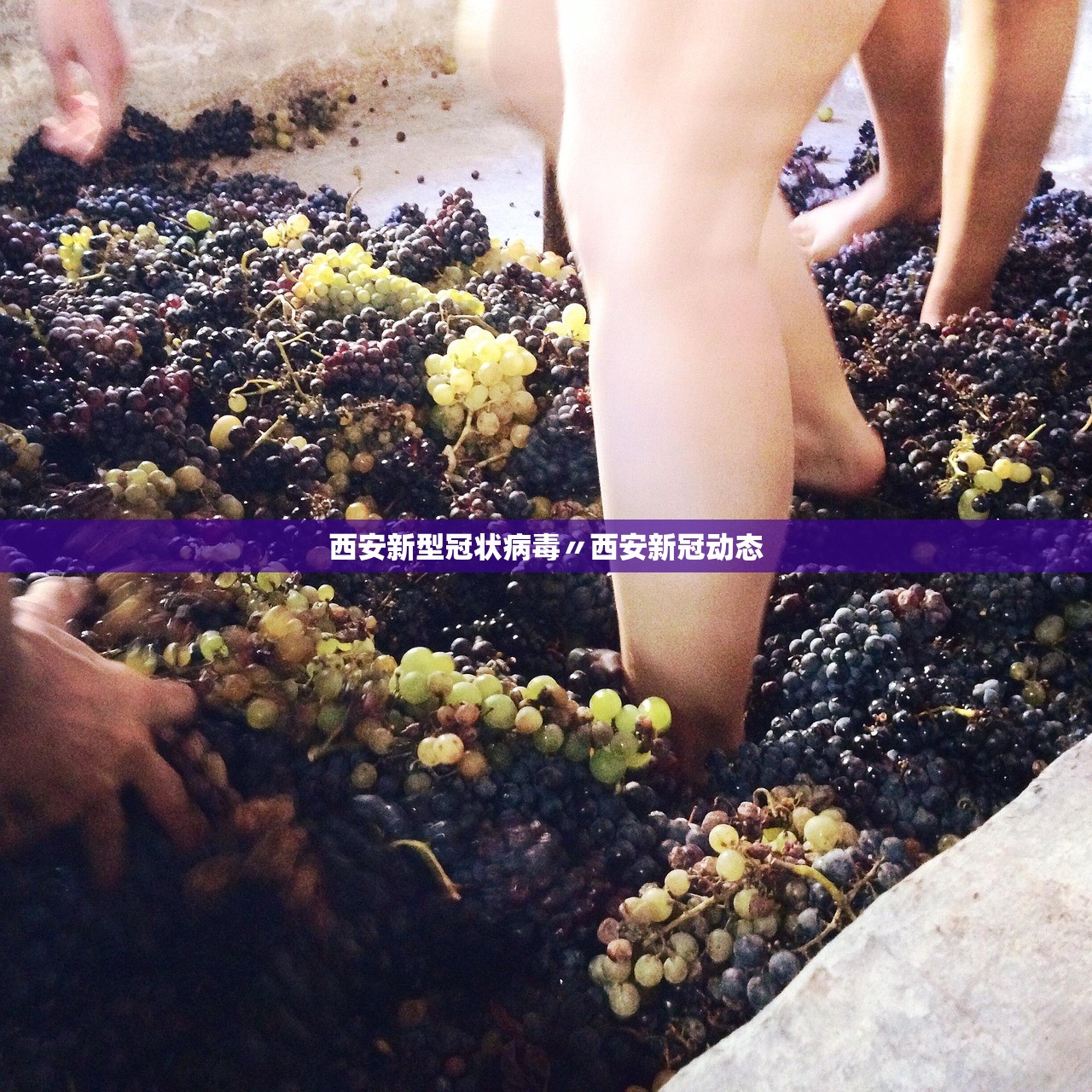 教程开挂辅助“手机麻将微乐开挂免费软件下载”详细分享装挂步骤教程