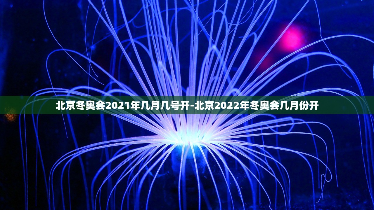 安装程序教程“为什么皮皮跑胡子老输”(原来确实是有插件) 