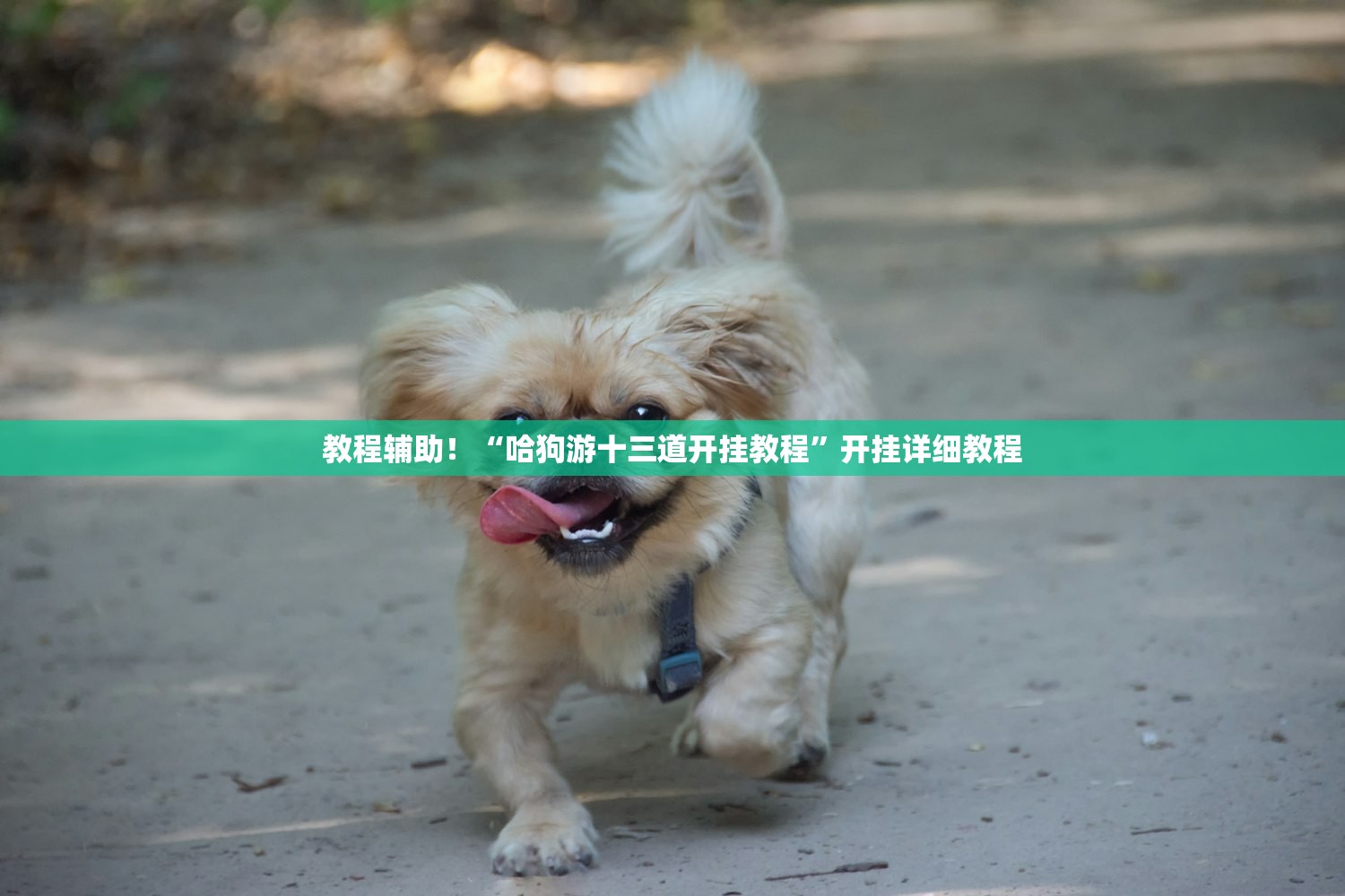 教程辅助“新大圣大厅开挂辅助下载安装”详细分享装挂步骤