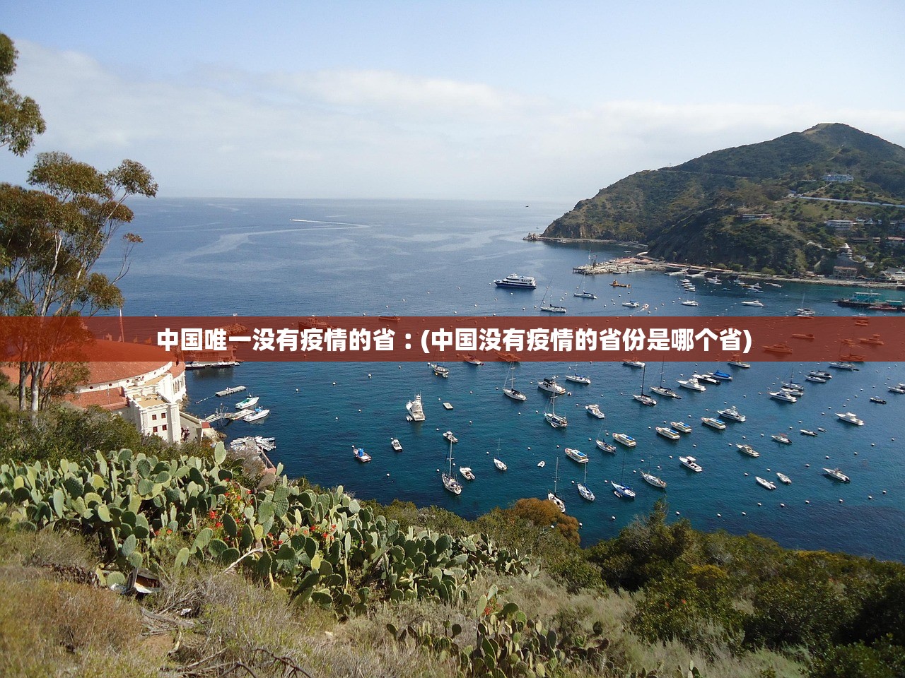 安装程序教程“越乡游义乌麻将外卦神器下载安装”详细开挂教程