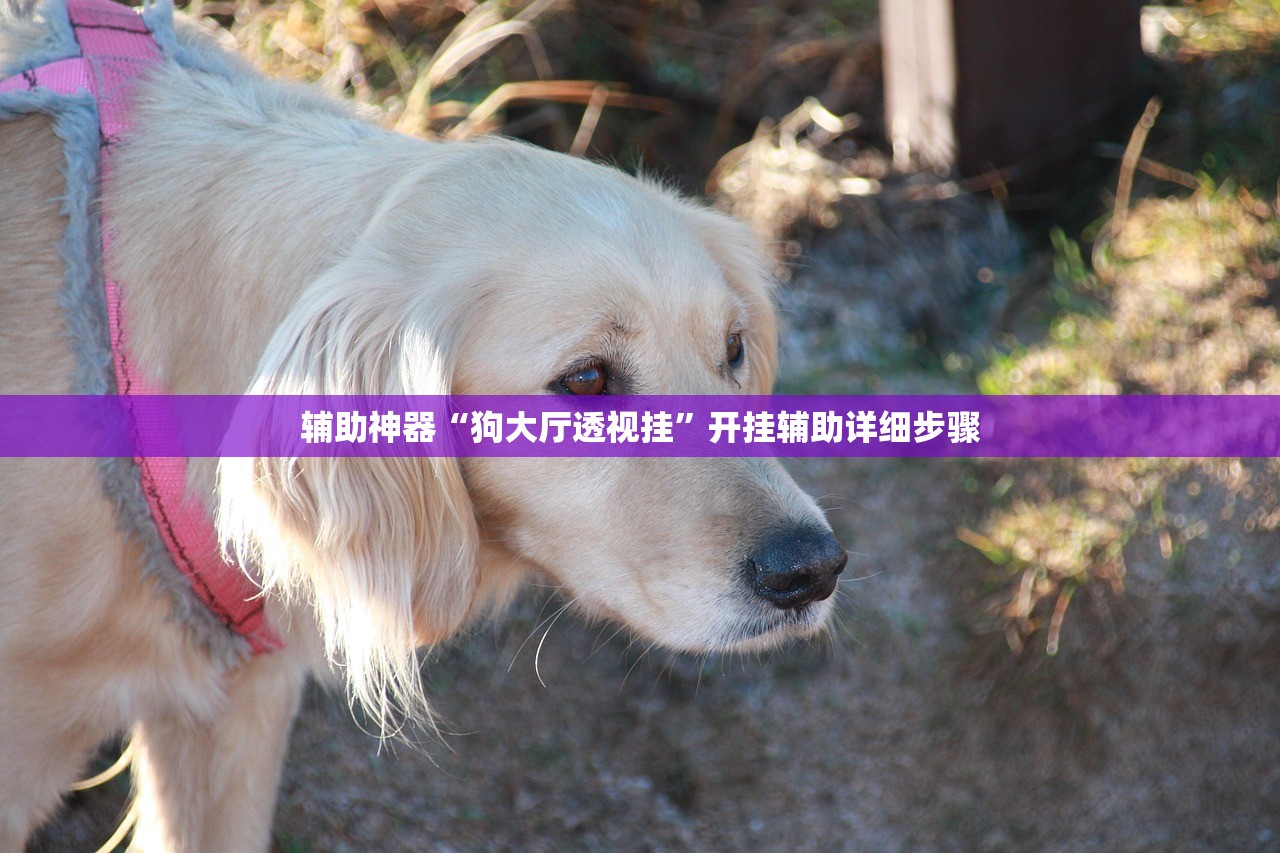 今日必看教程“智星德州透视安装教程	”开挂辅助详细步骤