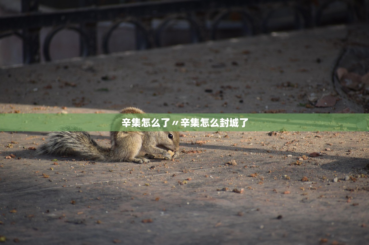辛集怎么了〃辛集怎么封城了