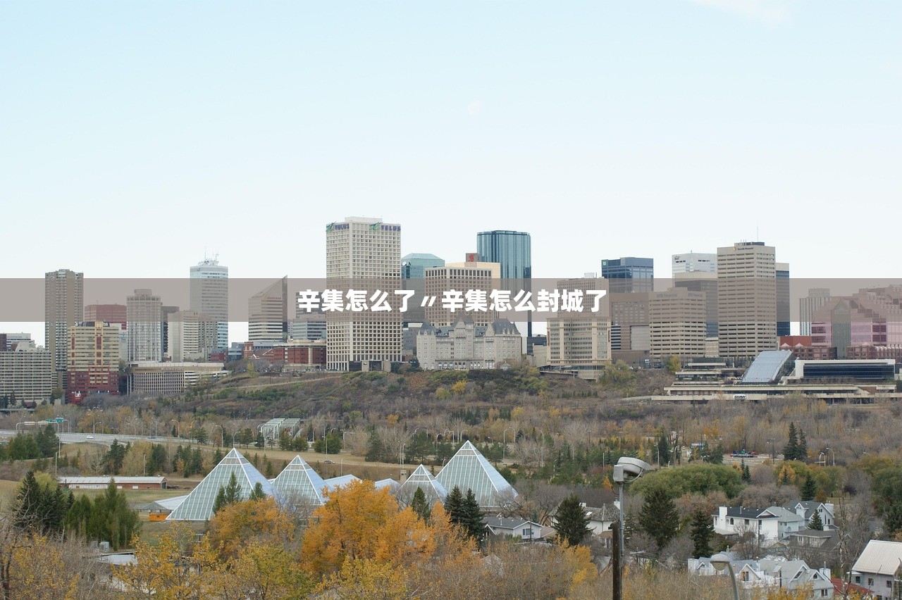 辛集怎么了〃辛集怎么封城了