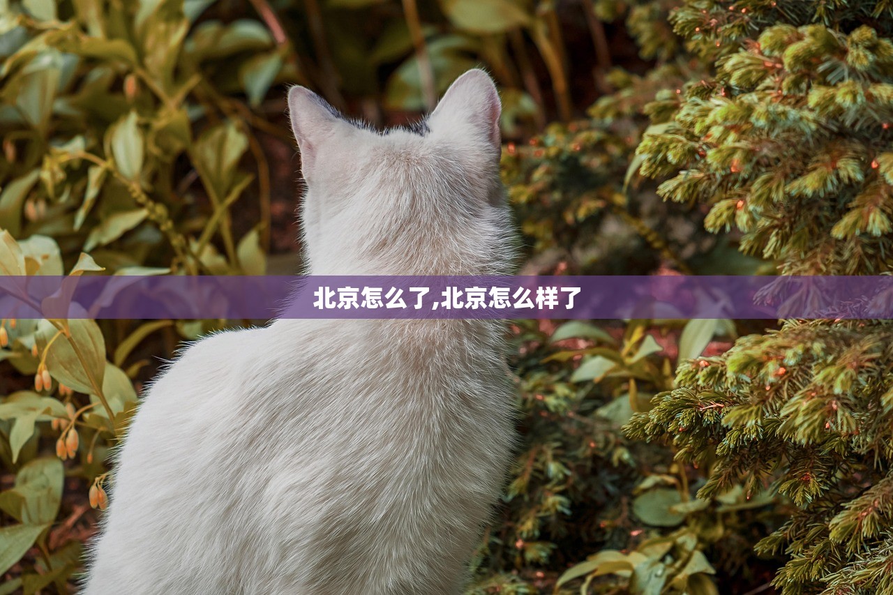 北京怎么了,北京怎么样了 北京怎么了,北京怎么样了
