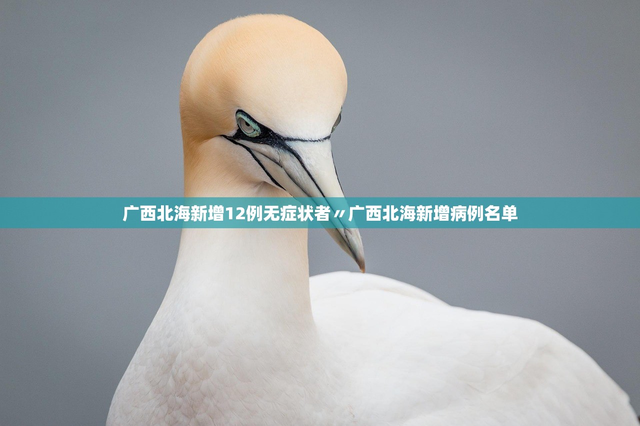 广西北海新增12例无症状者〃广西北海新增病例名单 广西北海新增12例无症状者〃广西北海新增病例名单