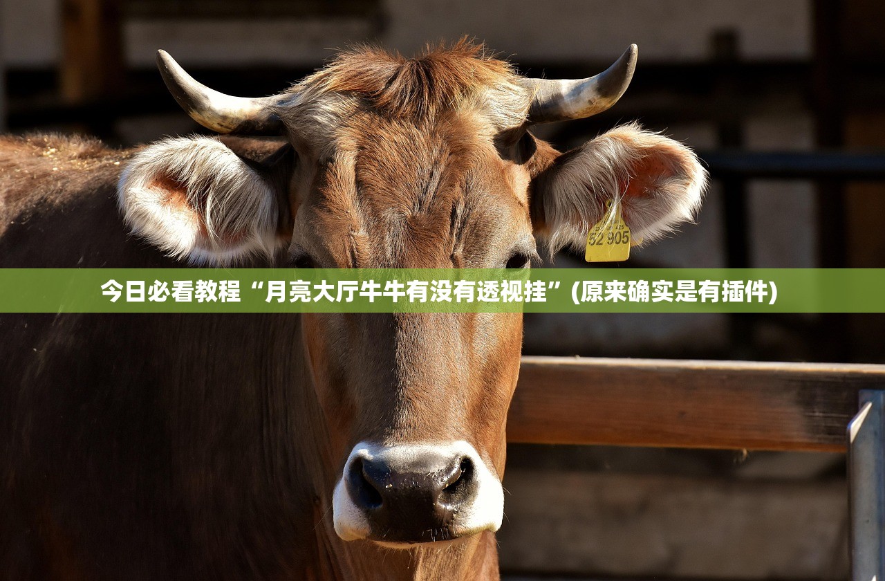 开挂辅助工具“一乐麻将是不是有挂”附开挂脚本详细步骤