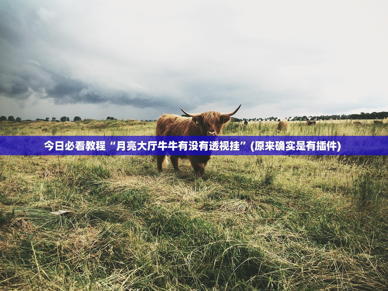 教程开挂辅助“哈灵麻将开挂工具软件下载”详细分享装挂步骤教程